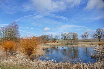 Naturschutzzentrum Erzgebirge lädt zu Wanderung an den Niederen Halsbach bei Zwönitz ein - Der Niedere Halsbach bei Zwönitz ist ein wichtiger Rastplatz für durchziehende Vogelarten.