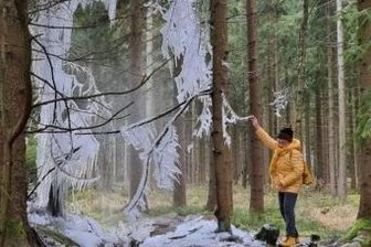 Naturwunder am Stauweiher - 