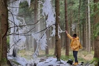 Naturwunder am Stauweiher - 