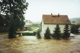 Naundorf erinnert sich an Hochwasser - <p class="artikelinhalt">1,70 Meter hoch stand das Wasser am 13. August 2002 in Naundorf. Vom Schuppen hinter den drei inzwischen gefällten Fichten lugte nur noch ein Stück Dach heraus. </p>