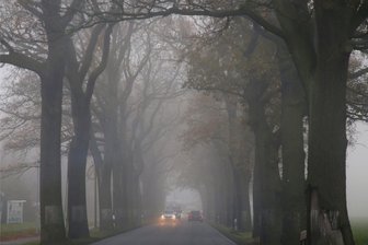 Nebelsuppe am Dienstagmorgen: So ist die Lage auf den Straßen im Landkreis Zwickau - Durch Nebel kommt es stellenweise zu Sichtbehinderungen.