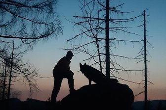Nein, das ist kein Wolf - 