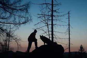 Nein, das ist kein Wolf - 