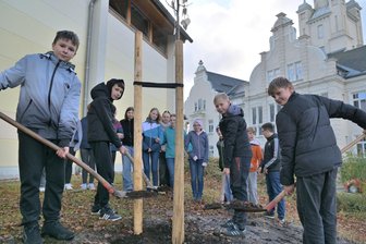 Nette Kollegen, viel Geld: Was sich Schüler im Erzgebirge für ihren Beruf wünschen - Niclas Börner, Maxim Yanworysov, Luis Unger und Mailo Gutzmerow (v. l.) von der Klasse 7b der Oberschule Eibenstock pflanzten eine Linde.
