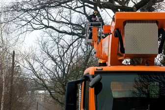 Netzschkau nutzt die Winterzeit für Baumpflegearbeiten - 