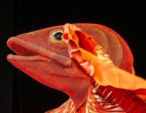 Tea Trifkovic fordert als Junge Jakob vom Fisch (Arne van Dorsten) Gefallen ein.