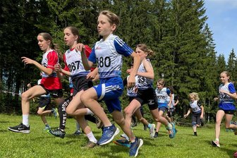 Neudorfer geben beim Frühjahrscross in Grünbach den Ton an - Mehrere Podestplätze haben Starter des SV Neudorf in Grünbach belegt.