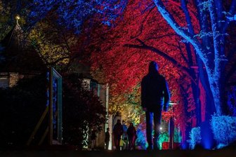 Neue abendliche Parkführungen: Das ist der Frühling in Bad Elster - Mit dem neuen Kulturfestival "Chursächsischer Frühlingszauber" rücken ab dem Wochenende die illuminierten Parkanlagen von Bad Elster auch mit geführten Abendspaziergängen in den Blick. Premiere für "Viele Lichter, eine Welt: Bad Elster!" ist am nächsten Montag, 19.30 Uhr.