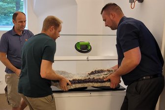 Neue Attraktion: Freiberger Terra mineralia bekommt spektakuläre Amethyststufe aus dem Erzgebirge -