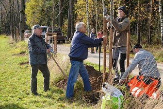 Neue Bäume für den Reumtengrüner Fronweg - Am Kuhschnappelblick des Reumtengrüner Fronweges haben die Heimatfreunde und Bauhofmitarbeiter neue Bäume gepflanzt.