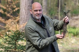 Neue Bäume für Hohenstein-Ernstthal: Stiftung baut Stadtwald um - "Die Wurzel muss möglichst tief in die Erde!" Olaf Kroggel von der Stiftung "Wald für Sachsen" erläuterte, worauf bei Weißtannen zu achten ist.