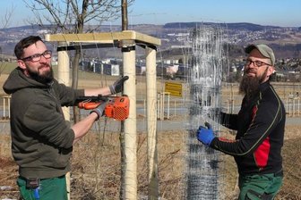 Neue Bäume säumen Straße - 