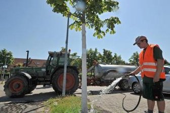 Neue Bäume werden gepflanzt - Sperrung -