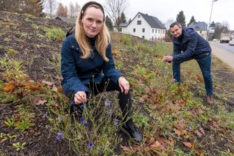 Neue Bürgerinitiative macht sich für Naturschutz stark - Susanne Stülpner und Matthias Büttner haben sich ebenfalls der Initiative angeschlossen. "Ich sehe hier meine Interessen vertreten. Und als Gruppe verschafft man sich mehr Gehör", sagt Susanne Stülpner. In Dörfel gegenüber der Einfahrt ins Gewerbegebiet wurde bereits eine insektenfreundliche Magerwiese angelegt. 