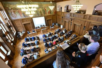 Neue Fachausschüsse im Chemnitzer Stadtrat: OB zeigt sich kompromissbereit - Der Chemnitzer Stadtrat hat 59 Sitze.