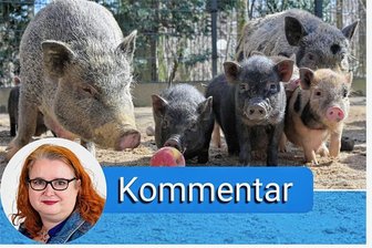 Neue Futterküche für den Hirschfelder Tierpark: Auch keine Entscheidung ist eine Entscheidung - Unsere Redakteurin zu den geplanten Investitionen im Hirschfelder Tierpark 