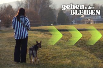 Neue Heimat Chemnitz: Sarah kam wegen der Liebe und blieb wegen des Jobs - Sarah Bernotat ist aus Niedersachsen nach Thüringen, dann in den Schwarzwald und mit 26 Jahren nach Sachsen gezogen. Sie kam wegen der Liebe und blieb wegen des Jobs.