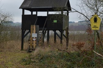 Neue Kanzel noch nicht auf Zielgerade - Der gesperrte Aussichtspunkt am Großhartmannsdorfer Großteich ist seit Herbst 2020 Thema bei Naturschützern und in der Kreisbehörde. Ein Neubau für die marode Holzkanzel muss her.