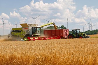 Neue Mähdrescher und neue „Goldmarie“: Bei der Agrargenossenschaft Lungwitztal läuft die Ernte - Der neue Mähdrescher Lexion 8600, der aus einer Jubiläumsreihe anlässlich der 500.000. Maschine des Herstellers Claas stammt, bei der Gerstenernte in Bernsdorf.