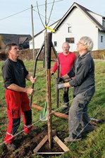 Neue Obstbäume für Obergräfenhain -