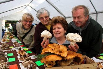 Neue Pilzarten im heimischen Wald - 
              <p class="artikelinhalt">Pilzberater Christine Schubert und Frank Fischer zeigen Luise Wagner und Schwiegertochter Kerstin aus Oberplanitz zwei Dünenegerlinge, die eigentlich aus dem Norden stammen. </p>
            