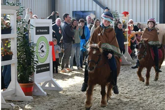 Neue Reithalle in Altmittweida: Zum Start zeigten die Pferdesportler, was sie können - Mit Pferdesport ist die Reithalle des Reit- und Sportvereins Altmittweida am Sonntag feierlich eingeweiht worden.