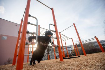 Neue Sportanlage in der Plauener Innenstadt: „Wir haben auch Angst vor Übergriffen“ - Vor wenigen Tagen wurde die sogenannte Calisthenics-Anlage an der Bergstraße in Betrieb genommen - und sie wird durchaus auch schon genutzt.