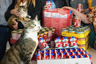Neue Tiertafel in Plauen: Bedürftige können sich ab sofort anmelden - Ab Mai sollen sich Bedürftige in Plauen an der neuen Tiertafel mit Tierfutter versorgen können. 