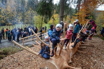 Neue Touristenattraktion im Vogtland: Walderlebnispfad verknüpft Wissen und Fitness - Auf dem neuen Walderlebnisweg gibt es allerhand zu entdecken, und es lockt Bewegung an der frischen Luft. So gibt es beispielsweise eine Schlängelfichte (Foto).