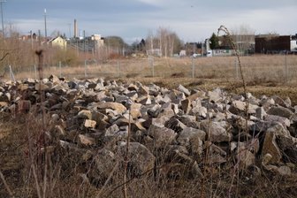 Neue TU-Außenstelle in Reichenbach: Tummelplätze für Eidechsen sind schon fertig - Das ist kein wilder Steinhaufen, sondern ein Zuhause für Zaun- und Waldeidechsen. Über 100.000 Euro flossen in den Artenschutz am einstigen Reichenbacher Güterbahnhof.