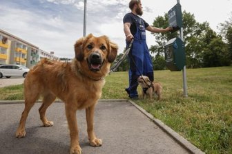 Neue Tüten für alte Hundetoiletten - Hundehalter auf dem Sonnenberg haben es jetzt leichter: Der Großvermieter GGG hat zwei neue Hundetoiletten in dem Stadtteil aufgestellt. Robert Herischek nutzt für Jessy (vorn) und Jimmy den Tütenspender an der Jakobstraße/Ecke Martinstraße. Der Sonnenberg ist allerdings eine Ausnahme.