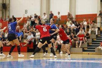 Neue Zwickauer Ballsporthalle: Baubeginn Mitte 2026 wackelt - In Neuplanitz darf kein Bundesliga-Handball mehr stattfinden. Der Neubau soll das ändern.