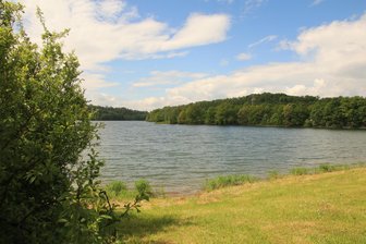 Neuensalz sagt Nein: Kein Solarpark im Landschaftsschutzgebiet Talsperre Pöhl - Im Landschaftsschutzgebiet der Talsperre Pöhl sollen Solarkraftwerke entstehen.