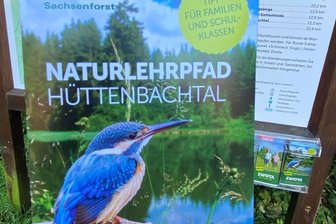 Neuer Flyer für Hüttenbachtal -