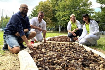 Neuer Freizeit- und Therapiegarten am Krankenhaus Mittweida: Wo junge Menschen und Schmerzpatienten Kraft tanken können - Marcel Berger, Norman Händel, Frances Marquardt und Nicole Schubert am Barfußpfad.