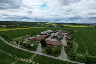 Neuer Hähnchenmaststall in Königswalde: Räte geben grünes Licht für knapp 30.000 Tiere - In Nähe der Biogasanlage in Königswalde soll ein Hähnchenmaststall entstehen.
