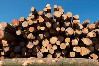 Neuer Holztransportweg entsteht im Oelsnitzer Röhrholz - Für den Holztransport entsteht in Oelsnitz ein neuer Weg.