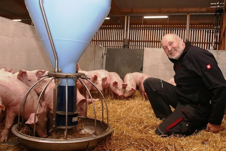 Neuer Öko-Stall für mehr Tierwohl im Vogtland - Udo Weymann setzt auf viel Tierwohl im neuen Schweinestall. 