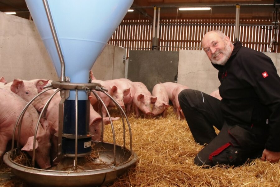 Neuer Öko-Stall für mehr Tierwohl - Udo Weymann setzt auf viel Tierwohl im neuen Schweinestall. 