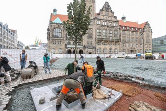 Neuer Marktbaum in Chemnitz steht: Wie hoch wird die Silberlinde? - Die Silberlinde stammt aus einer Baumschule in Geithain. Nach jetzigen Plänen wird es keine weiteren Bäume am Markt geben.