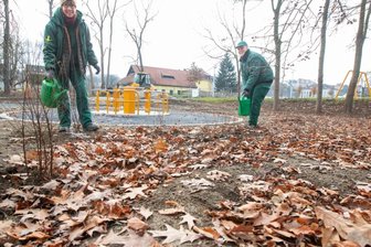 Neuer Mehrgenerationenpark in der Elsteraue nimmt Gestalt an - 