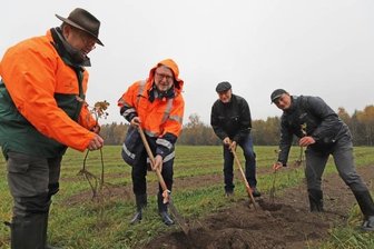 Neuer Mischwald entsteht - Ingo Reinhold vom Staatsbetrieb Sachsenforst, Landrat Matthias Damm, Freibergs Bürgermeister Holger Reuter und Henrik Lindner von der Stiftung "Wald für Sachsen" (v. l.) setzten die ersten Bäumchen. 
