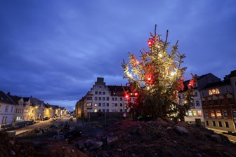 Neuer Platz an der Chemnitzer Straße in Meerane: Gibt es hier künftig einen richtig großen Weihnachtsbaum? - Auf der Baustelle an der Chemnitzer Straße in Meerane steht ein beleuchteter Weihnachtsbaum. Im Herbst 2025 folgt möglicherweise die Pflanzung einer Tanne.