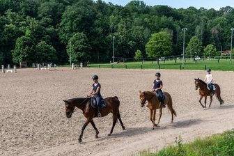 Neuer Reitplatz: Von Seelitz kommt nötige Finanzspritze - Drei Reitsportler auf der Sandanlage auf dem Seelitzer Reitplatz. Noch sind die Bedingungen nicht ideal, um dort zu trainieren. Das soll sich aber bald ändern. 