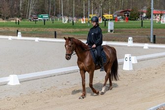 Neuer Seelitzer Reitplatz hat seine erste Bewährungsprobe - Hannah Uhle auf Zarafinya testet den sanierten Reitplatz in Seelitz. Die Dressurvierecke fürs Wochenende sind aufgebaut. 