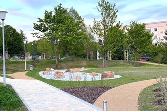 Neuer Stadtteilpark im Reichenbacher Westen wird später eröffnet - Der neu angelegte Stadtteilpark im Wohngebiet West. Dem Rasen fehlt der Regen.