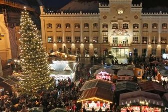 Neuer Weihnachtsbaum für den Hauptmarkt gesucht -