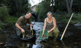 Goldwaschen an der Göltzschtalbrücke