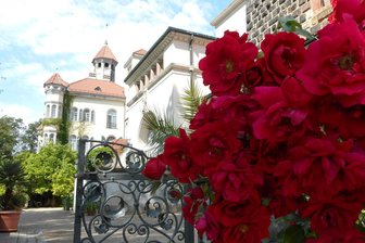 Neues Angebot im Schloss Waldenburg: Wiener Kaffeehausnachmittag - Die Terrasse von Schloss Waldenburg wird zum Wiener Kaffeehaus.