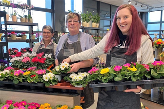 Neuer Blumenladen am Kaufland